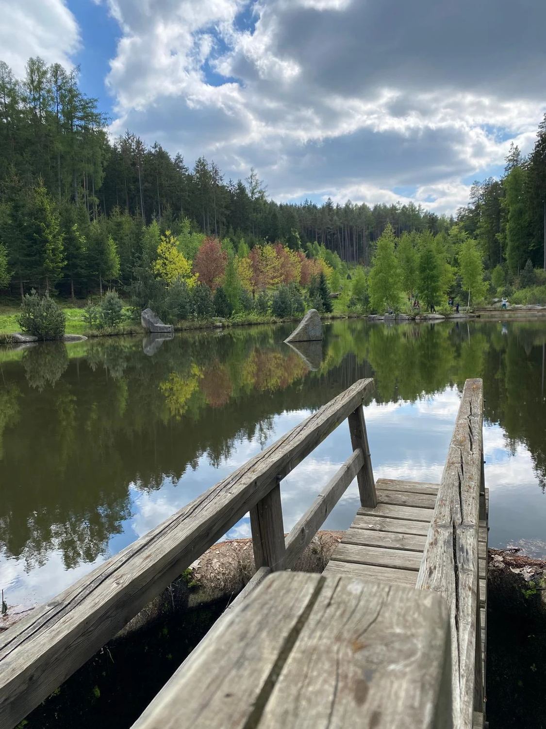 Dřevěná lávka u rybníka, ve kterém se zrcadlí les